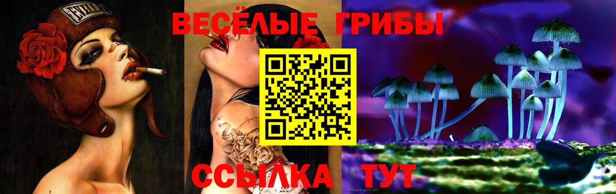 Псилоцибиновые грибы Cubensis Людиново