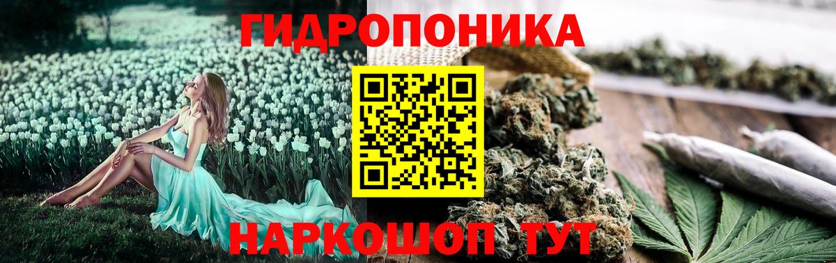 Каннабис семена  Бошки Шишки MAZAR  МАРИХУАНА MAZAR  Людиново  Вход с VPN 