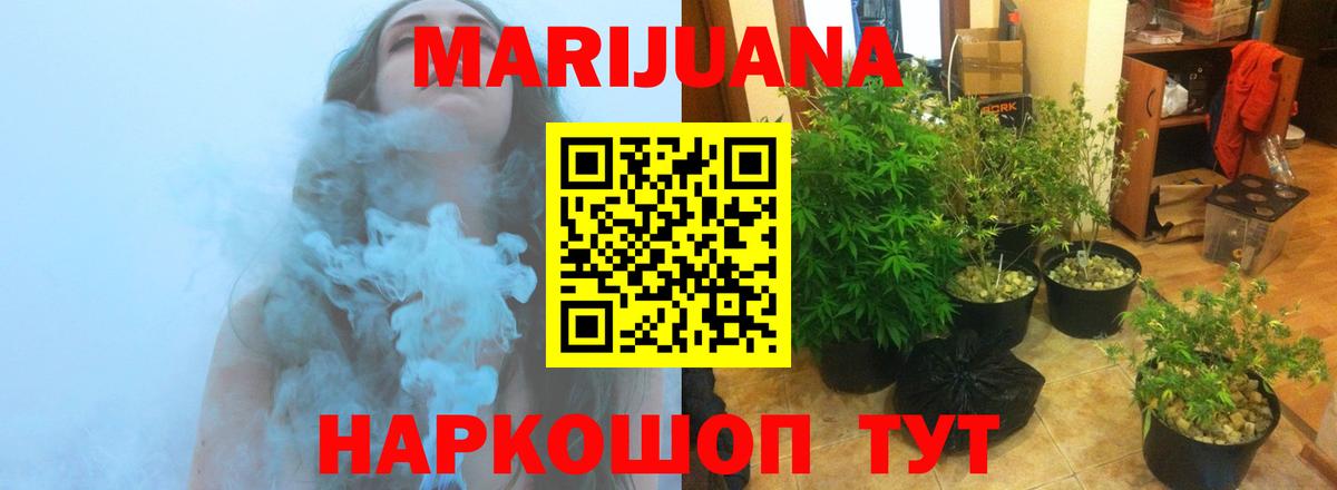 Канабис планчик  Каннабис индика  Каннабис White Widow  Людиново 